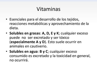Vitaminas
• Esenciales para el desarrollo de los tejidos,
  reacciones metabólicas y aprovechamiento de la
  dieta.
• Solubles en grasas: A, D, E y K; cualquier exceso
  puede no ser excretado y ser tóxico
  (especialmente A y D). Esto suele ocurrir en
  animales en cautiverio.
• Solubles en agua: B y C; cualquier exceso
  consumido es excretado y la toxicidad en general,
  no ocurrirá.
 