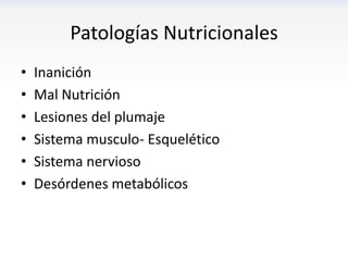 Patologías Nutricionales
•   Inanición
•   Mal Nutrición
•   Lesiones del plumaje
•   Sistema musculo- Esquelético
•   Sistema nervioso
•   Desórdenes metabólicos
 