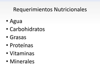 Requerimientos Nutricionales
• Agua
• Carbohidratos
• Grasas
• Proteínas
• Vitaminas
• Minerales
 