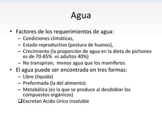 Agua
• Factores de los requerimientos de agua:
   – Condiciones climáticas,
   – Estado reproductivo (postura de huevos),
   – Crecimiento (la proporción de agua en la dieta de pichones
     es de 70-85% vs adultos 40%)
   – No transpiran; menos agua que los mamíferos.
• El agua puede ser encontrada en tres formas:
   – Libre (líquida)
   – Preformada (la del alimento)
   – Metabólica (es la que se produce al desdoblar los
     compuestos orgánicos)
   Excretan Acido Urico insoluble
 