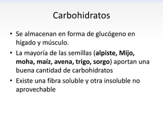 Carbohidratos
• Se almacenan en forma de glucógeno en
  hígado y músculo.
• La mayoría de las semillas (alpiste, Mijo,
  moha, maíz, avena, trigo, sorgo) aportan una
  buena cantidad de carbohidratos
• Existe una fibra soluble y otra insoluble no
  aprovechable
 