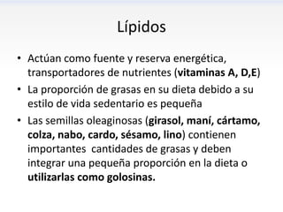 Lípidos
• Actúan como fuente y reserva energética,
  transportadores de nutrientes (vitaminas A, D,E)
• La proporción de grasas en su dieta debido a su
  estilo de vida sedentario es pequeña
• Las semillas oleaginosas (girasol, maní, cártamo,
  colza, nabo, cardo, sésamo, lino) contienen
  importantes cantidades de grasas y deben
  integrar una pequeña proporción en la dieta o
  utilizarlas como golosinas.
 