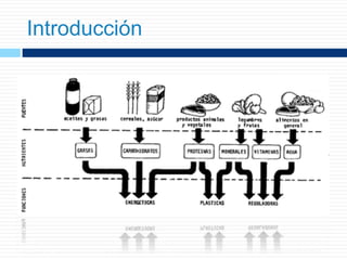 Introducción
 