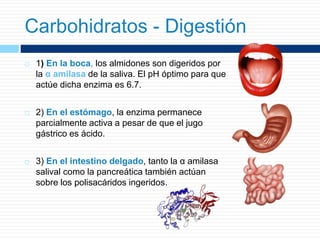  1) En la boca, los almidones son digeridos por
la α amilasa de la saliva. El pH óptimo para que
actúe dicha enzima es 6.7.
 2) En el estómago, la enzima permanece
parcialmente activa a pesar de que el jugo
gástrico es ácido.
 3) En el intestino delgado, tanto la α amilasa
salival como la pancreática también actúan
sobre los polisacáridos ingeridos.
Carbohidratos - Digestión
 
