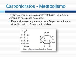  La glucosa, mediante su oxidación catabólica, es la fuente
primaria de energía de las células.
 Es una aldohexosa que en su forma D-glucosa, sufre una
ciclación hacia su forma hemiacetálica.
Carbohidratos - Metabolismo
 