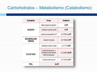 Carbohidratos – Metabolismo (Catabolismo)
 