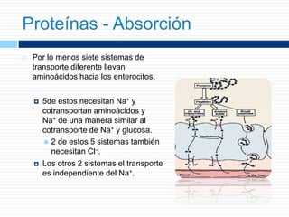  Por lo menos siete sistemas de
transporte diferente llevan
aminoácidos hacia los enterocitos.
 5de estos necesitan Na+ y
cotransportan aminoácidos y
Na+ de una manera similar al
cotransporte de Na+ y glucosa.
 2 de estos 5 sistemas también
necesitan Cl–.
 Los otros 2 sistemas el transporte
es independiente del Na+.
Proteínas - Absorción
 