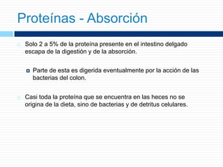  Solo 2 a 5% de la proteína presente en el intestino delgado
escapa de la digestión y de la absorción.
 Parte de esta es digerida eventualmente por la acción de las
bacterias del colon.
 Casi toda la proteína que se encuentra en las heces no se
origina de la dieta, sino de bacterias y de detritus celulares.
Proteínas - Absorción
 