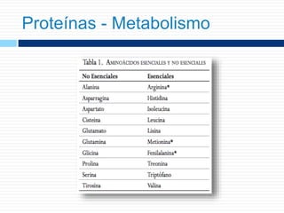 Proteínas - Metabolismo
 