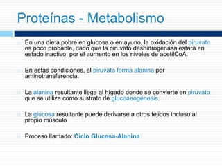  En una dieta pobre en glucosa o en ayuno, la oxidación del piruvato
es poco probable, dado que la piruvato deshidrogenasa estará en
estado inactivo, por el aumento en los niveles de acetilCoA.
 En estas condiciones, el piruvato forma alanina por
aminotransferencia.
 La alanina resultante llega al hígado donde se convierte en piruvato
que se utiliza como sustrato de gluconeogénesis.
 La glucosa resultante puede derivarse a otros tejidos incluso al
propio músculo
 Proceso llamado: Ciclo Glucosa-Alanina
Proteínas - Metabolismo
 