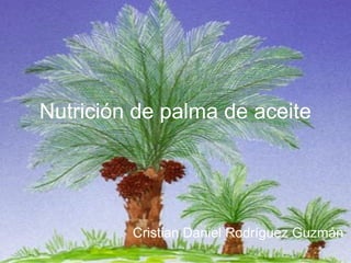 Nutrición de palma de aceite
Cristian Daniel Rodríguez Guzmán
 
