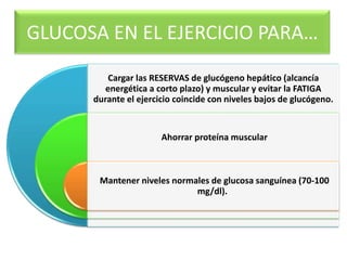 Cargar las RESERVAS de glucógeno hepático (alcancía
energética a corto plazo) y muscular y evitar la FATIGA
durante el ejercicio coincide con niveles bajos de glucógeno.
Ahorrar proteína muscular
Mantener niveles normales de glucosa sanguínea (70-100
mg/dl).
GLUCOSA EN EL EJERCICIO PARA…
 