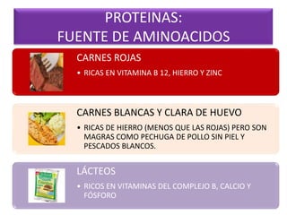 PROTEINAS:
FUENTE DE AMINOACIDOS
CARNES ROJAS
• RICAS EN VITAMINA B 12, HIERRO Y ZINC
CARNES BLANCAS Y CLARA DE HUEVO
• RICAS DE HIERRO (MENOS QUE LAS ROJAS) PERO SON
MAGRAS COMO PECHUGA DE POLLO SIN PIEL Y
PESCADOS BLANCOS.
LÁCTEOS
• RICOS EN VITAMINAS DEL COMPLEJO B, CALCIO Y
FÓSFORO
 