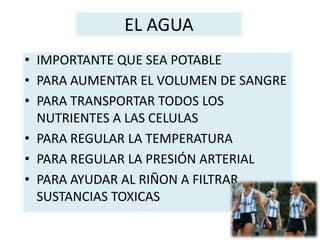 EL AGUA
• IMPORTANTE QUE SEA POTABLE
• PARA AUMENTAR EL VOLUMEN DE SANGRE
• PARA TRANSPORTAR TODOS LOS
NUTRIENTES A LAS CELULAS
• PARA REGULAR LA TEMPERATURA
• PARA REGULAR LA PRESIÓN ARTERIAL
• PARA AYUDAR AL RIÑON A FILTRAR
SUSTANCIAS TOXICAS
 
