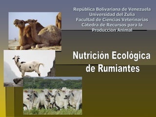 República Bolivariana de Venezuela
Universidad del Zulia
Facultad de Ciencias Veterinarias
Cátedra de Recursos para la
Producción Animal
 