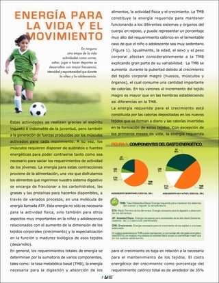 alimentos, la actividad física y el crecimiento. La TMB
                                                                  constituye la energía requerida para mantener
                                                                  funcionando a los diferentes sistemas y órganos del
                                                                  cuerpo en reposo, y puede representar un porcentaje
                                                                  muy alto del requerimiento calórico en el lamentable
                                                                  caso de que el niño o adolescente sea muy sedentario
                                                En ninguna
                                                                  (Figura 1). Igualmente, la edad, el sexo y el peso
                                      otra etapa de la vida
                                  actividades como correr,        corporal afectan considerablemente a la TMB
                         saltar, jugar o hacer deportes se        explicando gran parte de su variabilidad. La TMB se
                       desarrollan con mayor frecuencia,
                                                                  aumenta durante la pubertad debido al crecimiento
                     intensidad y espontaneidad que durante
                                la niñez y la adolescencia.       del tejido corporal magro (huesos, músculos y
                                                                  órganos), el cual consume una cantidad importante
                                                                  de calorías. En los varones el incremento del tejido
                                                                  magro es mayor que en las hembras estableciendo
                                                                  así diferencias en la TMB.
                                                                  La energía requerida para el crecimiento está
                                                                  constituida por las calorías depositadas en los nuevos

Estas actividades se realizan gracias al espíritu                 tejidos que se forman a diario y las calorías invertidas

inquieto e indomable de la juventud, pero también                 en la formación de estos tejidos. Con excepción de

a la generación de fuerzas producidas por los músculos            los primeros meses de vida, la energía requerida

activados para cada movimiento. A su vez, los
                                                                  FIGURA 1. COMPONENTES DEL GASTO ENERGÉTICO.
músculos requieren disponer de sustratos o fuentes                                                                              AF
                                                                                                                               40%
energéticas para poder contraerse tanto como sea
                                                                           AF
                                                                          20%
necesario para saciar los requerimientos de actividad
de los jóvenes. La energía para estas contracciones                 CRE                                       CRE
                                                                    5%                                        5%
proviene de la alimentación, una vez que disfrutamos
                                                                   ETA
los alimentos que ingerimos nuestro sistema digestivo              10%
                                                                                                     TMB
                                                                                                     65%
se encarga de fraccionar a los carbohidratos, las                                                                    ETA
                                                                                                                     10%
                                                                                                                                                       TMB
                                                                                                                                                       45%

grasas y las proteínas para hacerlos disponibles, a               ADOLESCENTE SEDENTARIO ( 2300 CAL. DÍA )          ADOLESCENTE MUY ACTIVO ( 3000 CAL. DÍA )


través de variados procesos, en una molécula de
                                                                          TMB: Tasa Metabólica Basal. Energía requerida para mantener los sistemas
energía llamada ATP. Esta energía no sólo es necesaria                      del cuerpo y regular la temperatura.

                                                                  ETA: Efecto Térmico de los Alimentos. Energía necesaria para la digestión y absorción
para la actividad física, sino también para otros                 de los alimentos.

aspectos muy importantes en la niñez y adolescencia               AF: Actividad Física. Energía necesaria para actividades de la vida diaria (bañarse,
                                                                  vestirse, etc.) o ejercicios planificados.
relacionados con el aumento de la dimensión de los                CRE: Crecimiento. Energía necesaria para el crecimiento de los tejidos a una tasa
                                                                  adecuada.
tejidos corporales (crecimiento) y la especialización             En sujetos sedentarios la TMB puede representar un porcentaje alto del gasto energético
                                                                  total (65%) y en sujetos muy activos la actividad física ocupa un porcentaje mayor que
en la función o madurez biológica de esos tejidos                 en los sujetos sedentarios.

(desarrollo).
En general, los requerimientos totales de energía se              para el crecimiento es baja en relación a la necesaria
determinan por la sumatoria de varios componentes,                para el mantenimiento de los tejidos. El costo
tales como: la tasa metabólica basal (TMB), la energía            energético del crecimiento como porcentaje del
necesaria para la digestión y absorción de los                    requerimiento calórico total es de alrededor de 35%
                                                              1
 