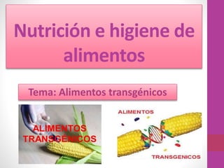 Nutrición e higiene de
alimentos
Tema: Alimentos transgénicos
 
