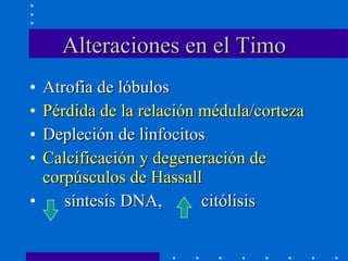 Alteraciones en el Timo Atrofia de lóbulos Pérdida de la relación médula/corteza Depleción de linfocitos Calcificación y degeneración de corpúsculos de Hassall síntesis DNA,  citólisis 