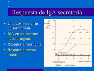 Respuesta de IgA secretoria Una dosis de virus de sarampión IgA en secreciones nasofaringeas Respuesta más lenta Respuesta menos intensa. 