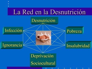 La Red en la Desnutrición Desnutrición Deprivación Sociocultural Pobreza Insalubridad Infección Ignorancia 