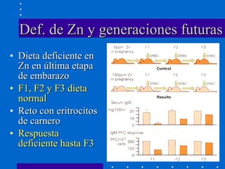 Def. de Zn y generaciones futuras Dieta deficiente en Zn en última etapa de embarazo F1, F2 y F3 dieta normal Reto con eritrocitos de carnero Respuesta deficiente hasta F3 