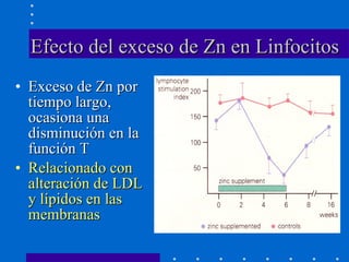 Efecto del exceso de Zn en Linfocitos   Exceso de Zn por tiempo largo, ocasiona una disminución en la función T Relacionado con alteración de LDL y lípidos en las membranas 