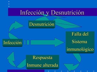 Infección y Desnutrición Desnutrición Falla del Sistema  inmunológico Respuesta Inmune alterada Infección 
