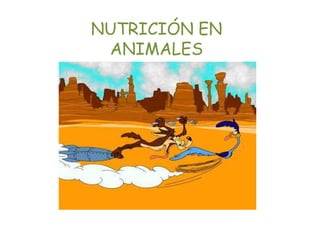 NUTRICIÓN EN
 ANIMALES
 