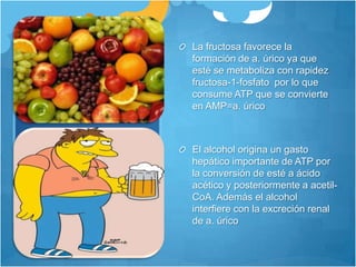 La fructosa favorece la formación de a. úrico ya que esté se metaboliza con rapidez fructosa-1-fosfato  por lo que consume ATP que se convierte en AMP=a. úricoEl alcohol origina un gasto hepático importante de ATP por la conversión de esté a ácido acético y posteriormente a acetil-CoA. Además el alcohol interfiere con la excreción renal  de a. úrico