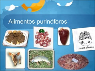 Alimentos purinóforos
