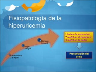 Fisiopatología de la hiperuricemiaLimites de saturación 7 mg/dl en el hombre y 6 mg/dl en la mujerPrecipitación del urato 