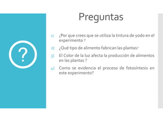 Preguntas
1) ¿Por que crees que se utiliza la tintura de yodo en el
experimento ?
2) ¿Qué tipo de alimento fabrican las plantas?
3) El Color de la luz afecta la producción de alimentos
en las plantas ?
4) Como se evidencia el proceso de fotosíntesis en
este experimento?
 
