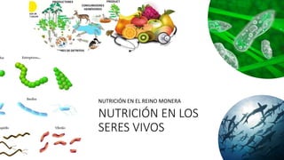 NUTRICIÓN EN LOS
SERES VIVOS
NUTRICIÓN EN EL REINO MONERA
 