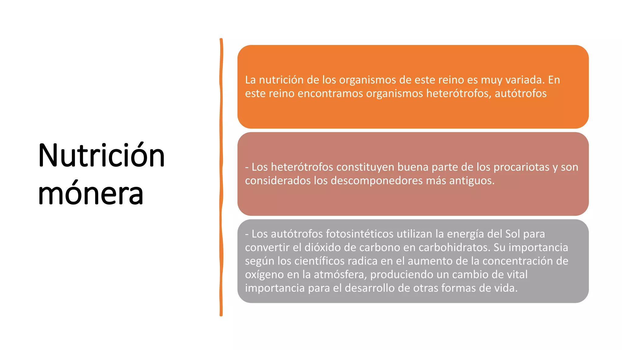 NUTRICIÓN EN LOS SERES VIVOS.pptx