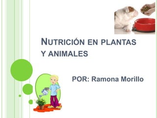 NUTRICIÓN EN PLANTAS
Y ANIMALES


      POR: Ramona Morillo
 