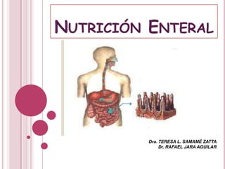 NUTRICIÓN ENTERAL

Dra. TERESA L. SAMAMÉ ZATTA
Dr. RAFAEL JARA AGUILAR

 