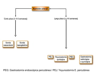 PEG: Gastrostomía endoscópica percutánea / PEJ: Yeyunostomía E. percutánea
 