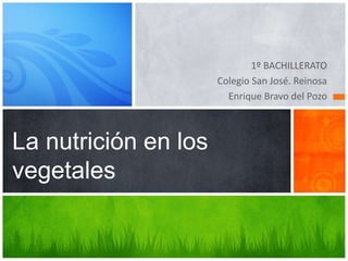 1º BACHILLERATO
Colegio San José. Reinosa
Enrique Bravo del Pozo
La nutrición en los
vegetales
 