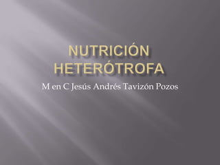 M en C Jesús Andrés Tavizón Pozos
 