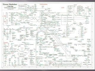 Nutrición heterótrofa