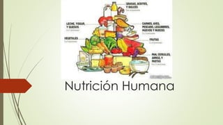 Nutrición Humana
 