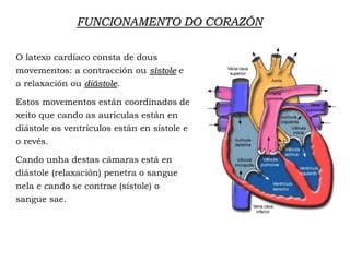 FUNCIONAMENTO DO CORAZÓN
O latexo cardíaco consta de dous
movementos: a contracción ou sístole e
a relaxación ou diástole.
Estos movementos están coordinados de
xeito que cando as aurículas están en
diástole os ventrículos están en sístole e
o revés.
Cando unha destas cámaras está en
diástole (relaxación) penetra o sangue
nela e cando se contrae (sístole) o
sangue sae.
 