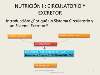 NUTRICIÓN II: CIRCULATORIO Y EXCRETOR ,[object Object],Dpto. CCNN IES SAN ALBINO  Andrés Alcalá Aguilar APARATO DIGESTIVO APARATO RESPIRATORIO PROCESO DE LA RESPIRACIÓN CELULAR Nutrientes + Oxígeno   ENERGÍA+AGUA+CO2 AP. CIRCULATORIO AP. EXCRETOR 