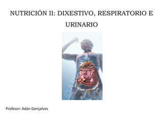 NUTRICIÓN II: DIXESTIVO, RESPIRATORIO E
URINARIO
Profesor: Adán Gonçalves
 
