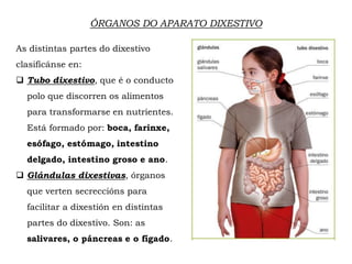 ÓRGANOS DO APARATO DIXESTIVO
As distintas partes do dixestivo
clasifícánse en:
 Tubo dixestivo, que é o conducto
polo que discorren os alimentos
para transformarse en nutrientes.
Está formado por: boca, farinxe,
esófago, estómago, intestino
delgado, intestino groso e ano.
 Glándulas dixestivas, órganos
que verten secreccións para
facilitar a dixestión en distintas
partes do dixestivo. Son: as
salivares, o páncreas e o fígado.
 