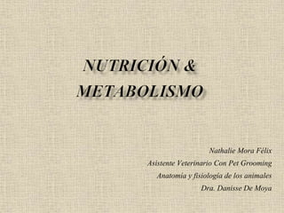 Nathalie Mora Félix
Asistente Veterinario Con Pet Grooming
Anatomía y fisiología de los animales
Dra. Danisse De Moya
 