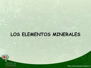 LOS ELEMENTOS MINERALES
 
