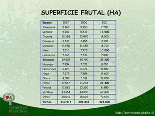 SUPERFICIE FRUTAL (HA)
Especie       1997      2000      2011
Almendros     5.860     5.850     7.700
Cerezos       4.902     5.832    17.500
Ciruelos     12.398    13.070    19.000
Damascos      2.333     2.455     2.100
Duraznos     11.928    11.385    16.700
Kiwis         7.710     7.775    10.000
Limoneros     7.663     7.543     7.800
Manzanos     39.902    35.790    37.200
Naranjos      7.294     7.571     9.250
Nectarines    6.120     6.624     5.300
Nogal         7.575     7.808    14.600
Olivos        4.507     5.051    26.000
Paltos       17.047    21.208    39.300
Perales      11.882    10.360     6.900
Vid Mesa     43.854    44.890    62.400
Otros        20.042    15.629    72.570
TOTAL        210.917   208.841   324.000
 