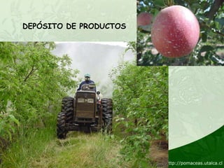 DEPÓSITO DE PRODUCTOS
 