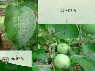 1.8 – 2.4 %




46-57 %
 